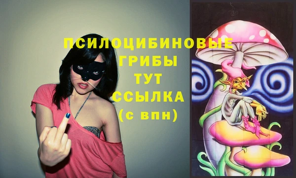 трава Саяногорск