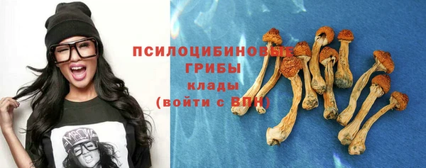 дживик Беломорск