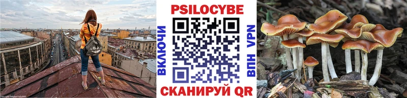сколько стоит  Малмыж  Псилоцибиновые грибы Psilocybine cubensis 